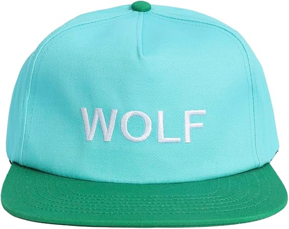 타일러스 캡 패션 야구 모자 아빠 모자 창작자 트럭 모 - Golf Cap Dad 리뷰 및 가격